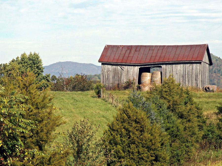 Weathered barn with a red tin roof in the countryside