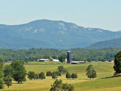 Mountain rising above open pasture on a clear day