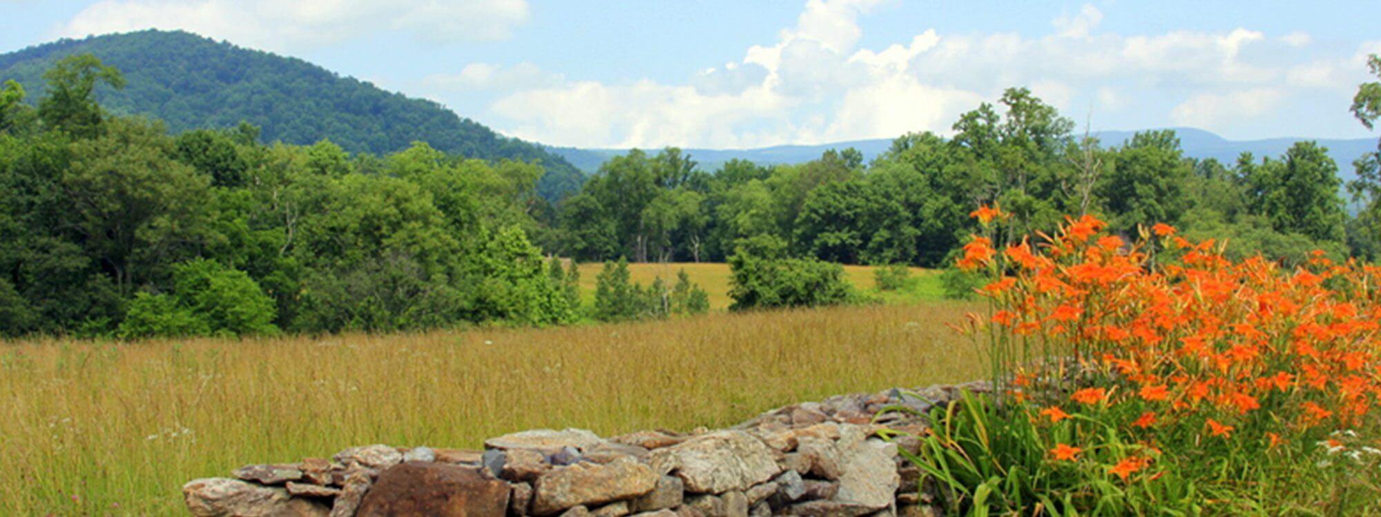 Orange daylilies along an old stone wall with the mountains beyond