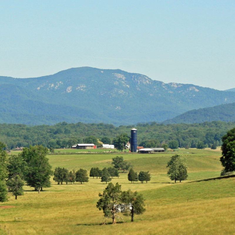 Mountain rising above open pasture on a clear day